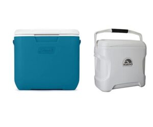 Read more about the article “30 QT Coolers: The Best of the Best”