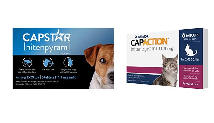 Read more about the article “The Purr-fect Flea Medicine: A Review of the Top Non-Prescription Options for Cats”